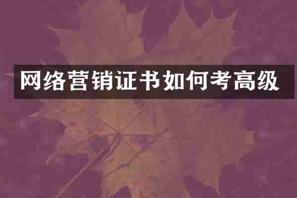 网络营销证书如何考高级