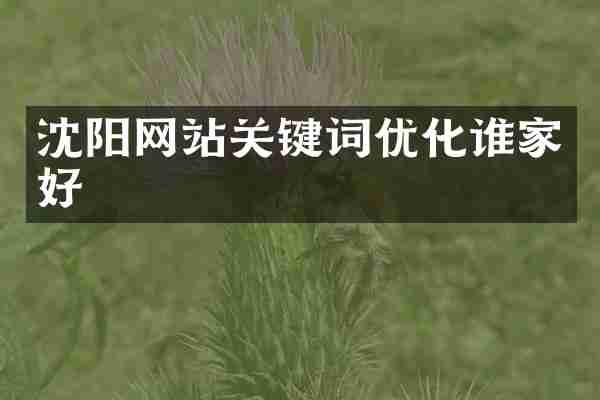 沈阳网站关键词优化谁家好