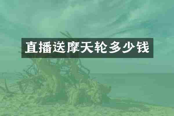 直播送摩天轮多少钱