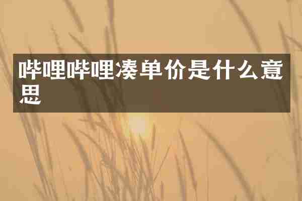 哔哩哔哩凑单价是什么意思