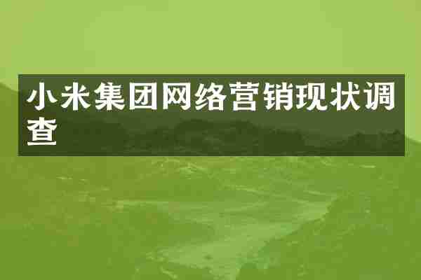小米集团网络营销现状调查