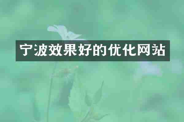 宁波效果好的优化网站