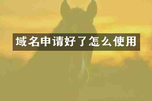 域名申请好了怎么使用