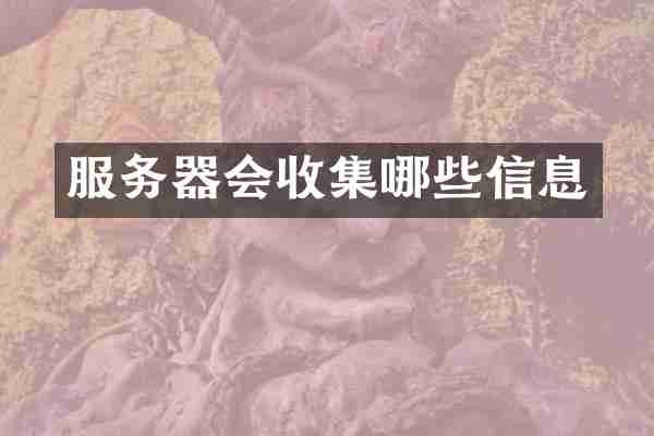 服务器会收集哪些信息