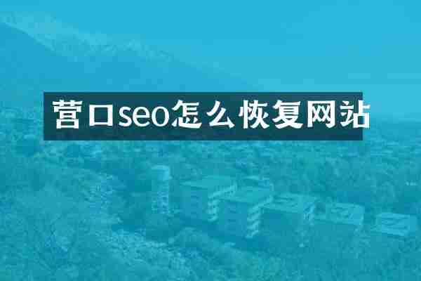 营口seo怎么恢复网站