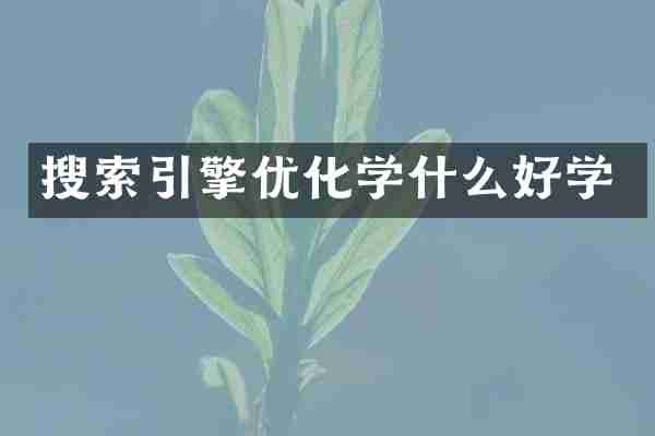 搜索引擎优化学什么好学
