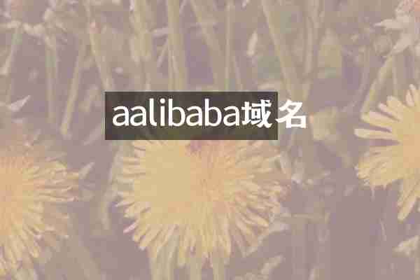 aalibaba域名