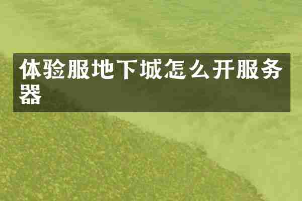 体验服地下城怎么开服务器