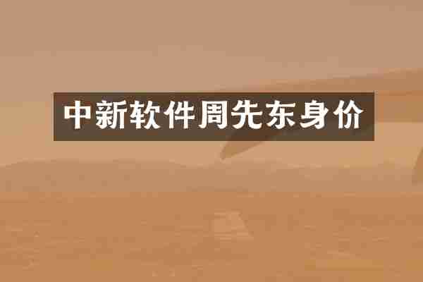 中新软件周先东身价