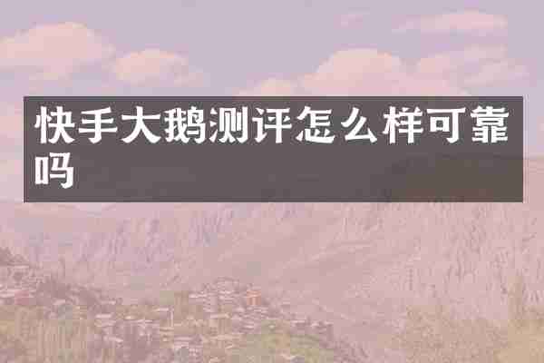 快手大鹅测评怎么样可靠吗