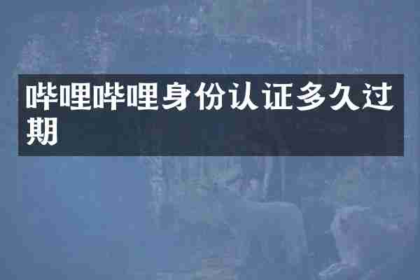 哔哩哔哩身份认证多久过期