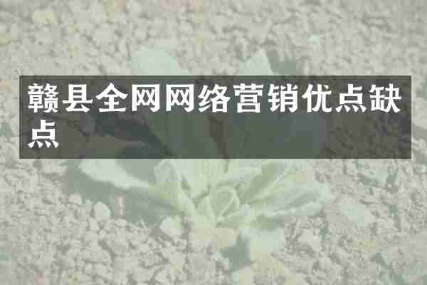 赣县全网网络营销优点缺点
