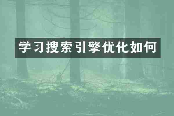 学习搜索引擎优化如何