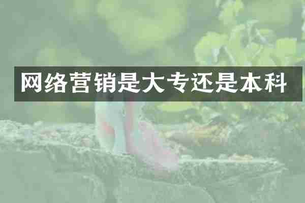 网络营销是大专还是本科