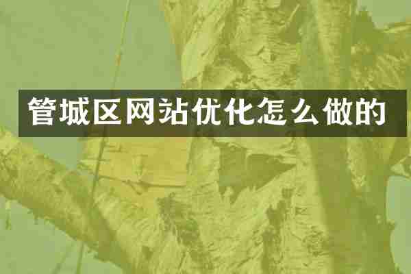 管城区网站优化怎么做的