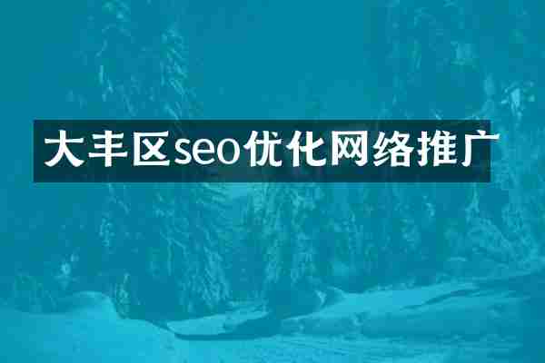大丰区seo优化网络推广
