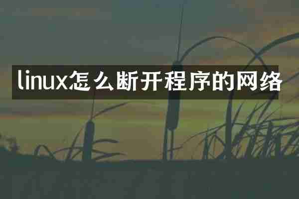 linux怎么断开程序的网络