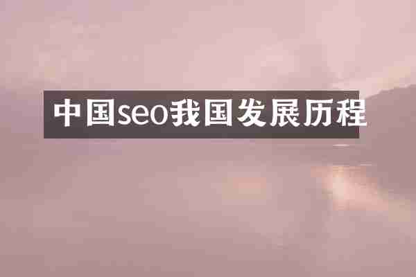 中国seo我国发展历程