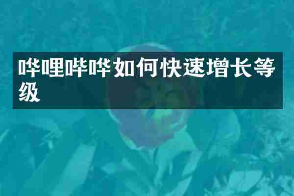 哗哩哔哗如何快速增长等级
