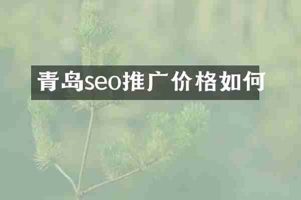 青岛seo推广价格如何