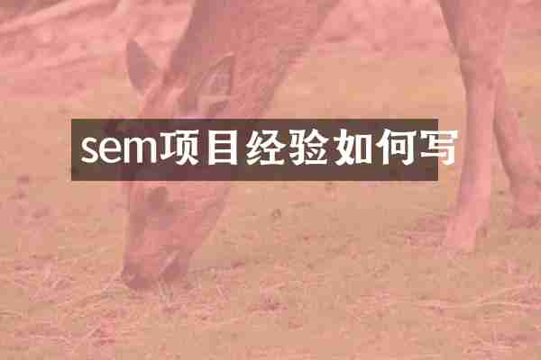 sem项目经验如何写