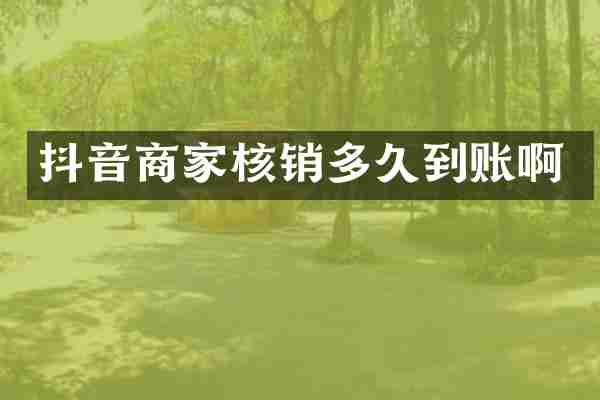 抖音商家核销多久到账啊