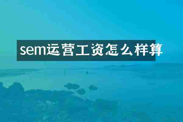sem运营工资怎么样算