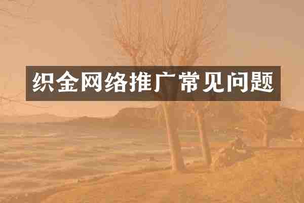 织金网络推广常见问题