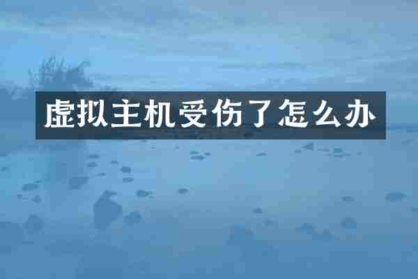 虚拟主机受伤了怎么办