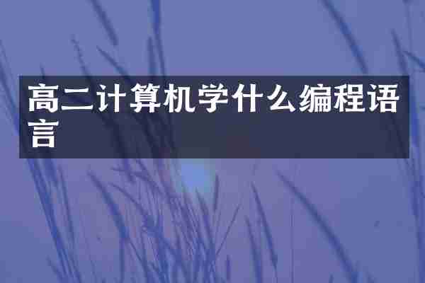高二计算机学什么编程语言