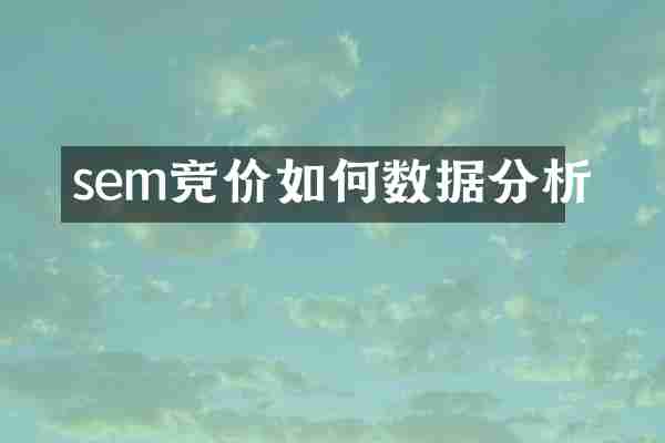 sem竞价如何数据分析