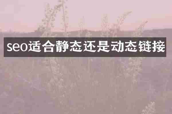 seo适合静态还是动态链接