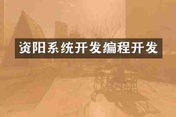 资阳系统开发编程开发