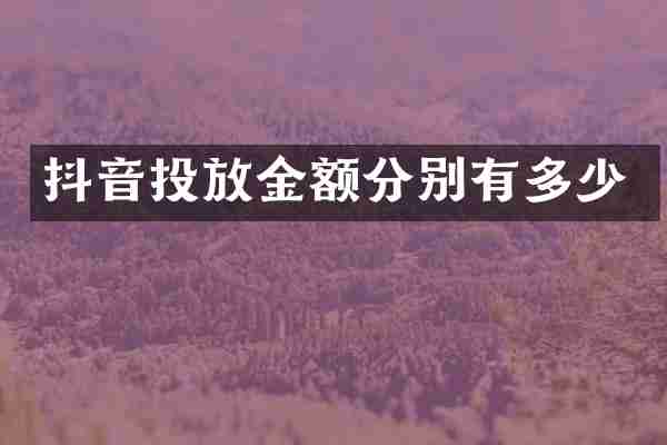 抖音投放金额分别有多少