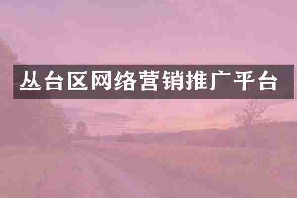 丛台区网络营销推广平台