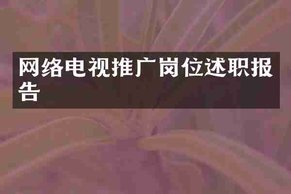 网络电视推广岗位述职报告