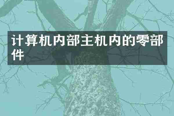 计算机内部主机内的零部件