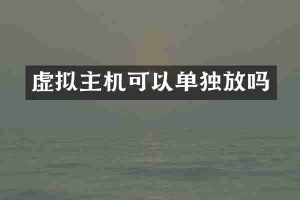 虚拟主机可以单独放吗