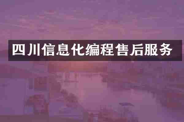 四川信息化编程售后服务