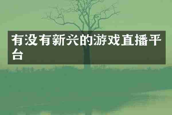 有没有新兴的游戏直播平台