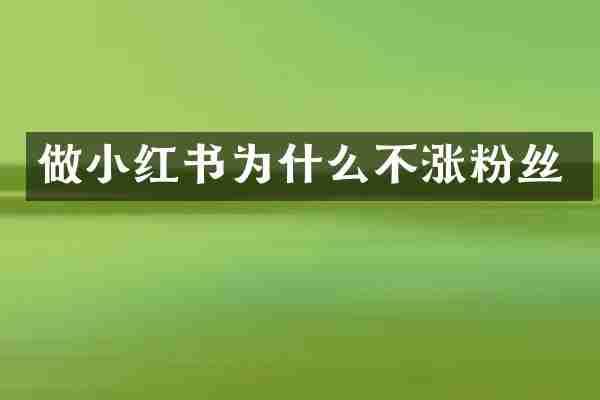 做小红书为什么不涨粉丝