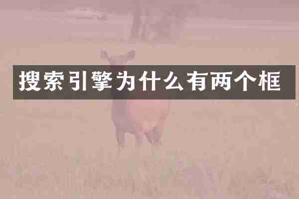 搜索引擎为什么有两个框
