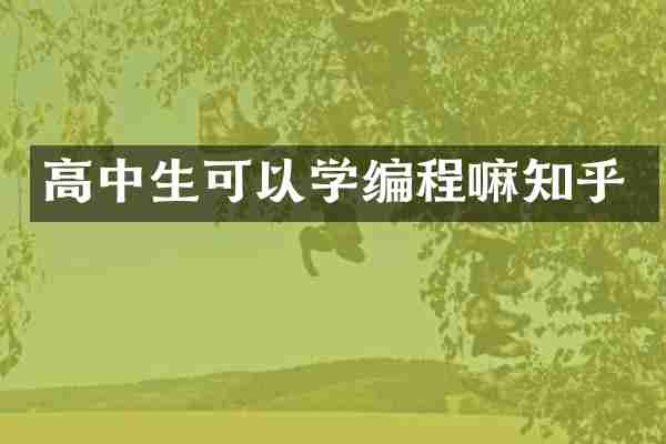 高中生可以学编程嘛知乎