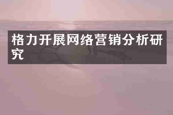格力开展网络营销分析研究