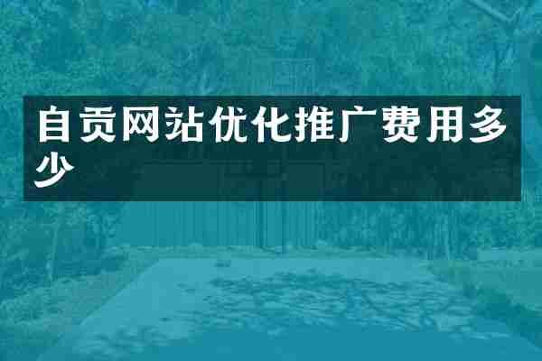 自贡网站优化推广费用多少