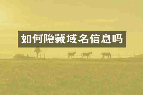 如何隐藏域名信息吗