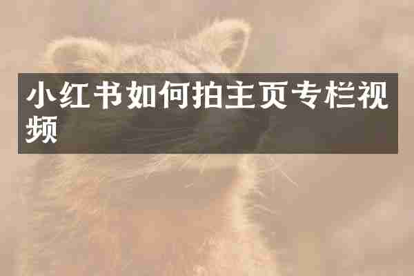 小红书如何拍主页专栏视频