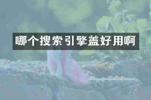 哪个搜索引擎盖好用啊