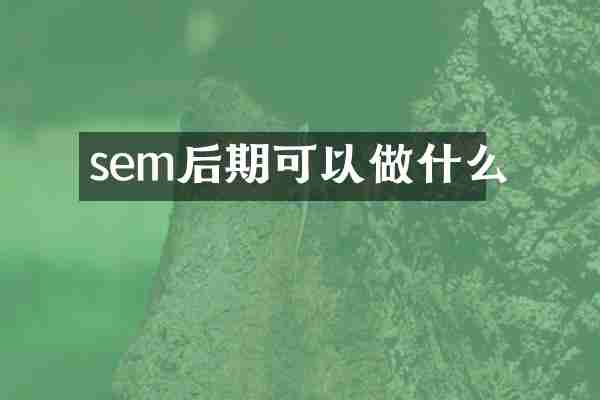 sem后期可以做什么
