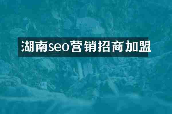 湖南seo营销招商加盟
